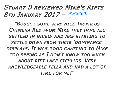 Mikes Rifts Review 30